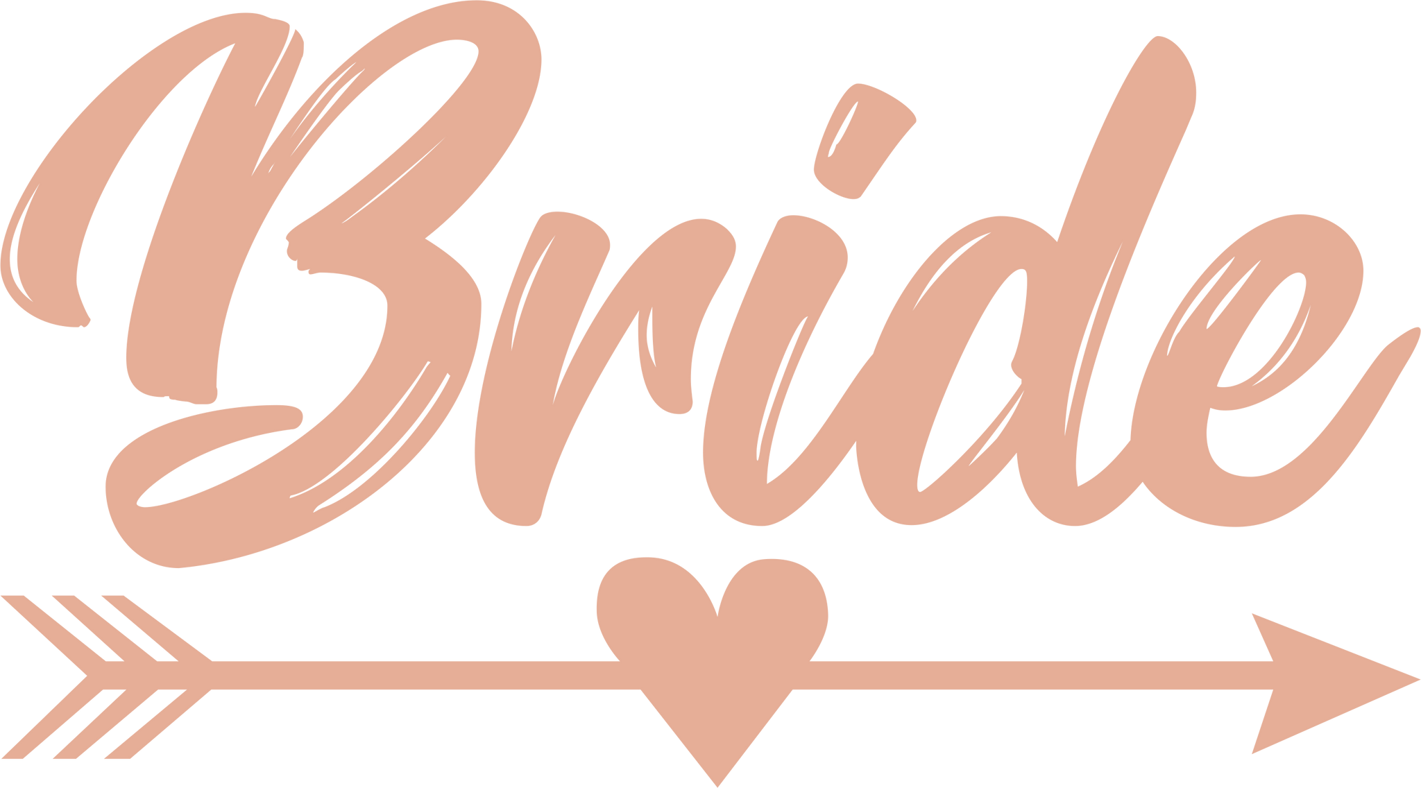 Bride's The Word