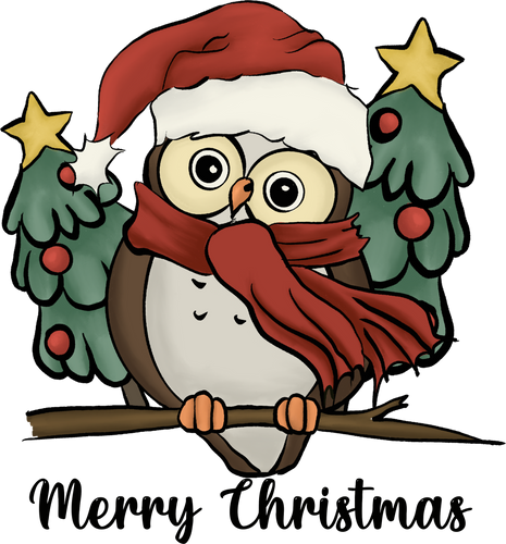 Christmas Owl T-Shirtanimal, animals, christmas, Ladies, Mens, Merry Christmas, owl, Unisex