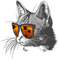 Load image into Gallery viewer, Cool Beach Cat Novelty T-Shirtbeach, beach fun, beach life, cat, cat mom, Ladies, Mens, pets, Unisex
