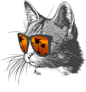 Cool Beach Cat Novelty T-Shirtbeach, beach fun, beach life, cat, cat mom, Ladies, Mens, pets, Unisex