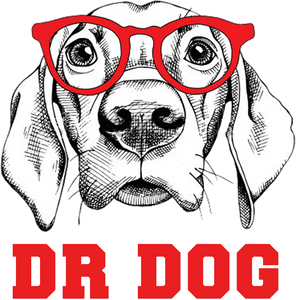 DR Dog Gift Idea for Men Women Cute T-Shirtbeagle, cute, doctor, dog, dog dad, dog mom, dogs, funny, Ladies, Mens, pets, Unisex