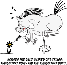 Load image into Gallery viewer, Horses are only scared of 2 things T-Shirtfantasy, horses, Ladies, Mens, unicorn, Unisex
