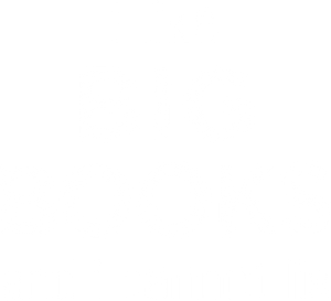 I like big books and cannot lie T-Shirtbig books, books, Ladies, Mens, Unisex