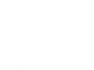 I like dad jokes and cannot lie Hoodie