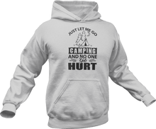 Load image into Gallery viewer, Just let me go camping and no one gets hurt Hoodie
