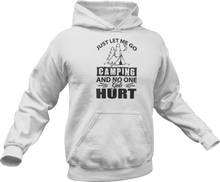 Load image into Gallery viewer, Just let me go camping and no one gets hurt Hoodie
