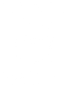 Kitten my beard on T-Shirtbeard, cat, Ladies, Mens, pets, Unisex
