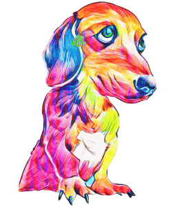 Multicolor Dachshund T-Shirtanimals, dog, Ladies, Mens, pets, Unisex