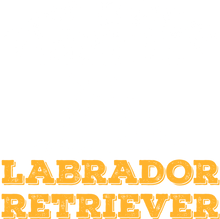 Load image into Gallery viewer, My Best Friend Is A Labrador Retriever T-Shirtanimals, dog, Ladies, Mens, Unisex
