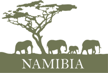 Load image into Gallery viewer, Namibia T-shirt printed in Oliveafrica, animals, dad, elephants, horse, Ladies, Mens, namibia, pets, tree, Unisex
