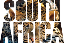 Load image into Gallery viewer, South Africa 3 Ladies fitted T-Shirtdog, Ladies

