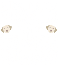 Load image into Gallery viewer, The More People I Meet The More I Love My Labrador T-Shirtanimals, dog, Ladies, Mens, Unisex
