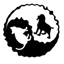 Load image into Gallery viewer, Ying-Yang Dog And Cat T-shirtanimals, cat, dog, Ladies, Mens, pets, Unisex
