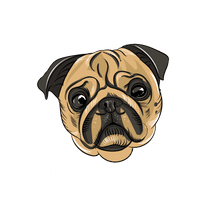 Load image into Gallery viewer, A wise pug T-Shirtanimals, dog, Ladies, Mens, pets, Pug, Unisex
