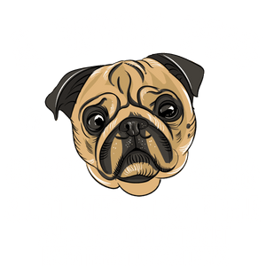 A wise pug T-Shirtanimals, dog, Ladies, Mens, pets, Pug, Unisex