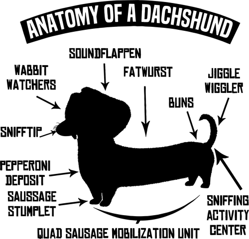 Anatomy of a dachshund t-shirtanimals, dog, Ladies, Mens, pets, Unisex
