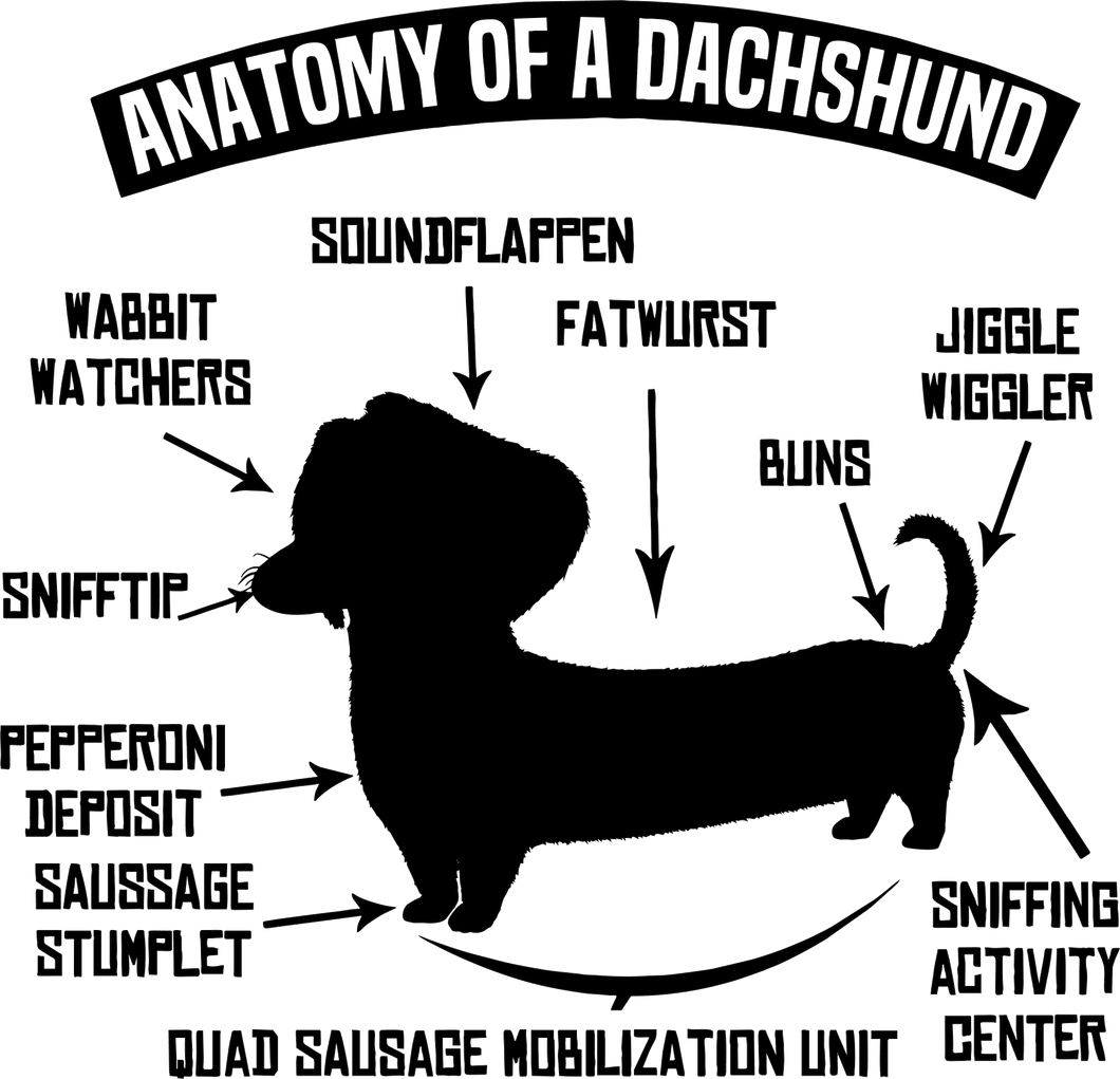 Anatomy of a dachshund t-shirtanimals, dog, Ladies, Mens, pets, Unisex