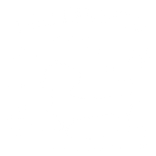 Load image into Gallery viewer, Anatomy of a dachshund t-shirtanimals, dog, Ladies, Mens, pets, Unisex
