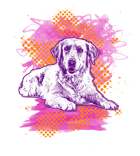 Artsy Labrador T-Shirtanimals, dog, Labrador, Ladies, Mens, pets, Unisex