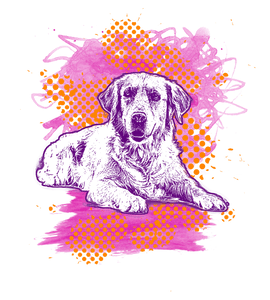 Artsy Labrador T-Shirtanimals, dog, Labrador, Ladies, Mens, pets, Unisex