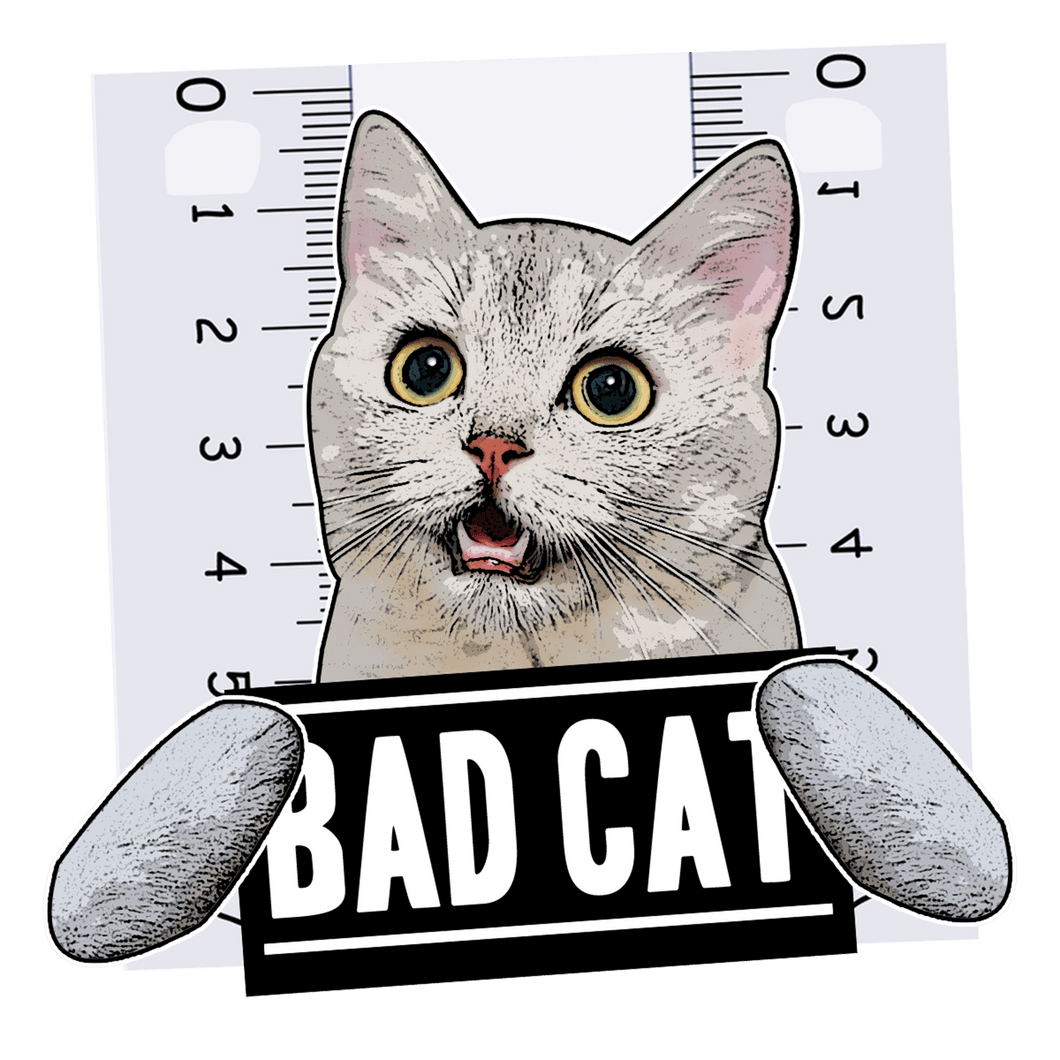Bad Cat T-Shirtanimals, cat, Ladies, Mens, pets, Unisex