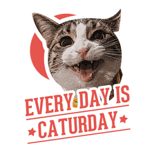 Load image into Gallery viewer, Everyday is Caturday T-Shirtanimals, cat, Ladies, Mens, pets, Unisex

