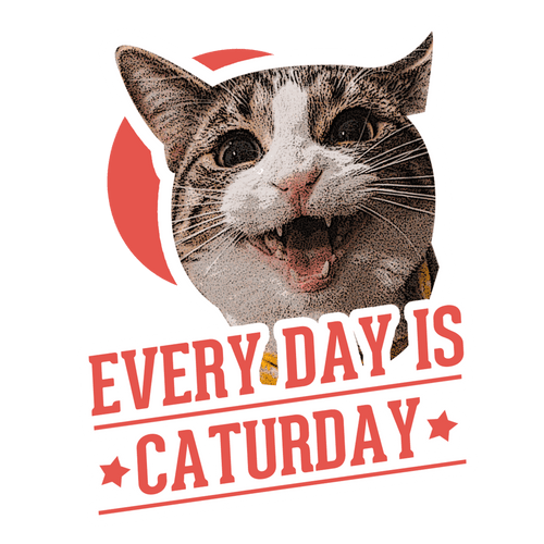 Everyday is Caturday T-Shirtanimals, cat, Ladies, Mens, pets, Unisex