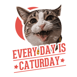 Everyday is Caturday T-Shirtanimals, cat, Ladies, Mens, pets, Unisex