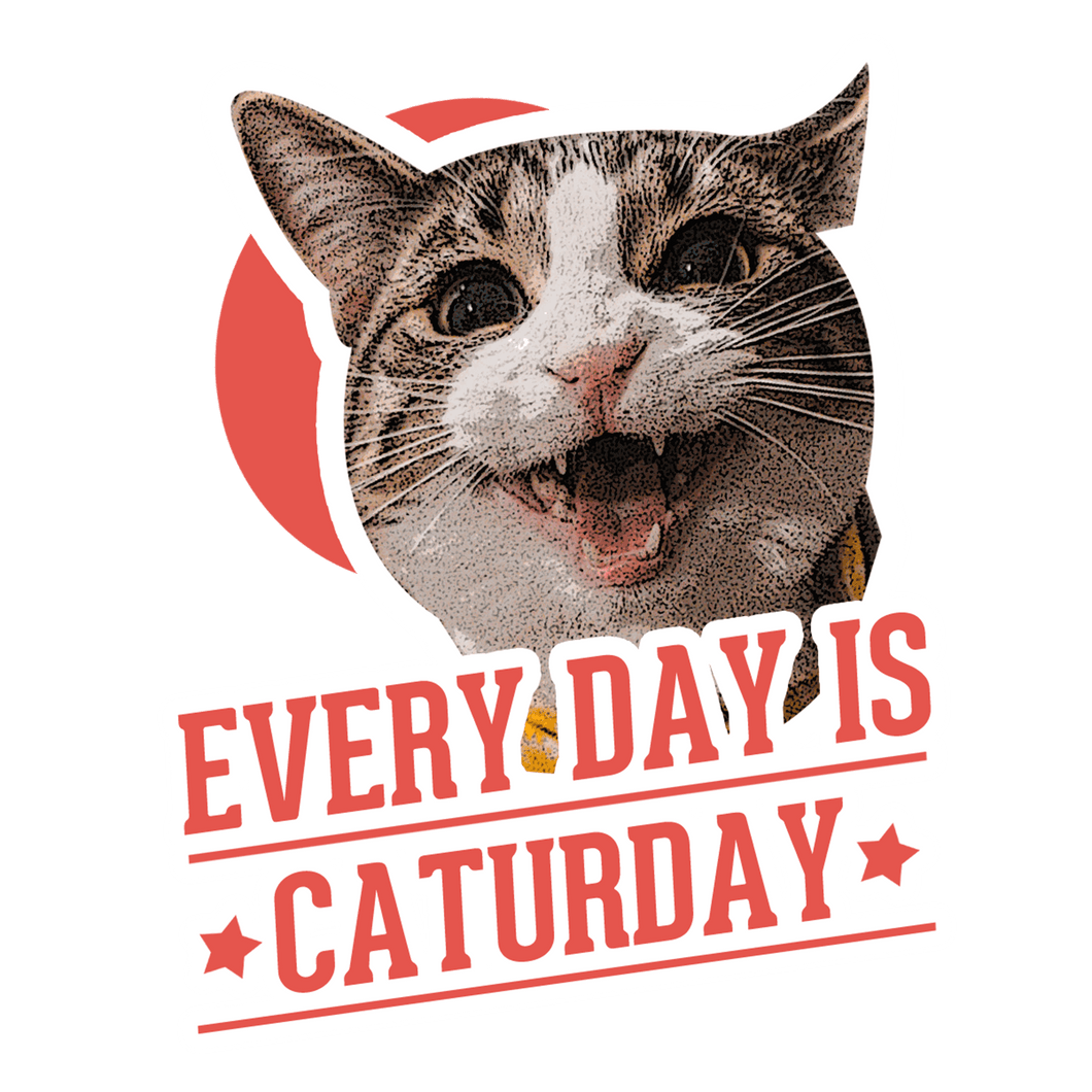 Everyday is Caturday T-Shirtanimals, cat, Ladies, Mens, pets, Unisex