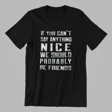 Load image into Gallery viewer, if you can&#39;t say anything nice we should be friends Tshirt in Black
